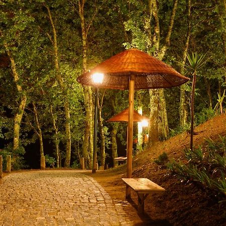 Quinta Da Costa Villa Vila da Lixa Exterior photo